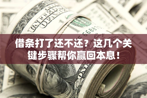 济南借条打了还不还？这几个关键步骤帮你赢回本息！