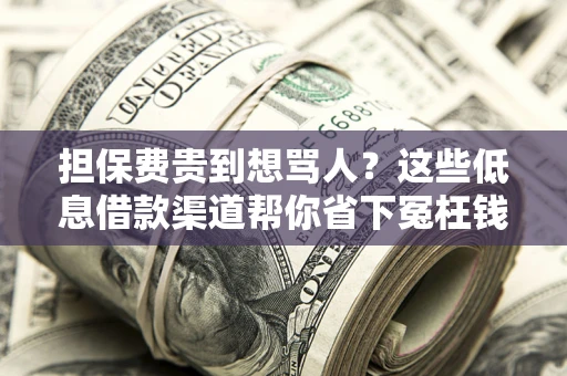 济南担保费贵到想骂人？这些低息借款渠道帮你省下冤枉钱