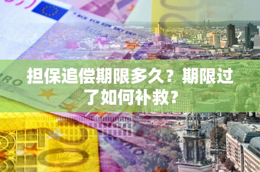 济南担保追偿期限多久？期限过了如何补救？